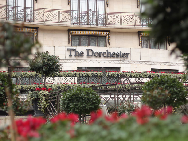 A view of the outide of the Dorchester
